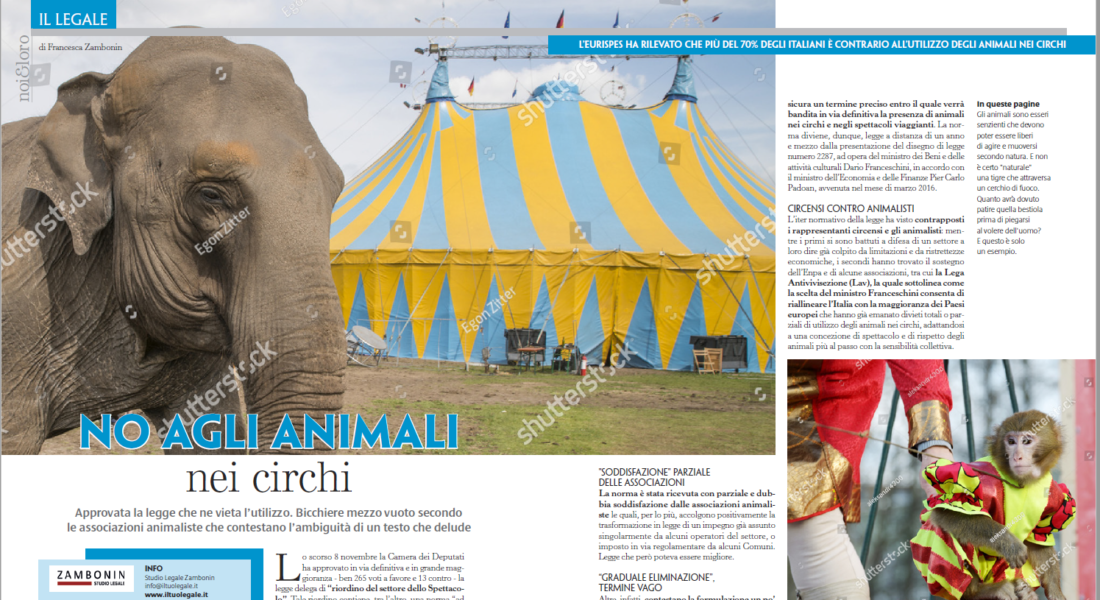 animali nel circo