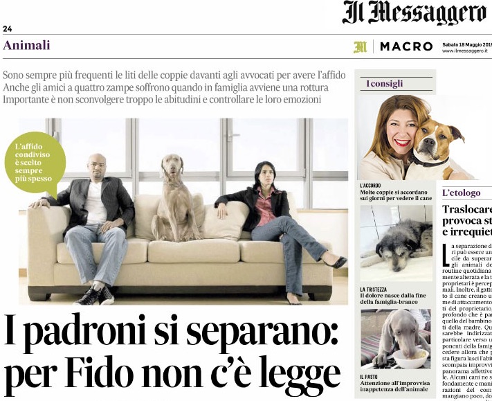 il messaggero maggio 2019