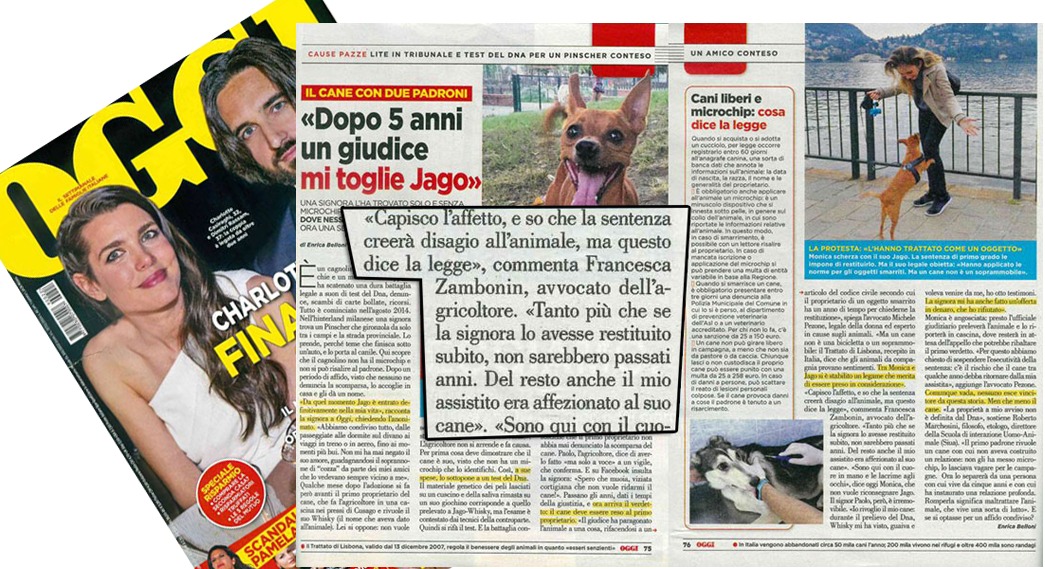 oggi 22 6 giugno 2019