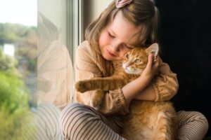 affidare gatti figli minori abbandono