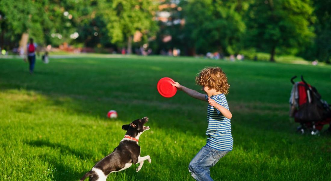 ordinanza comunale che vieta ai cani di entrare nei parchi