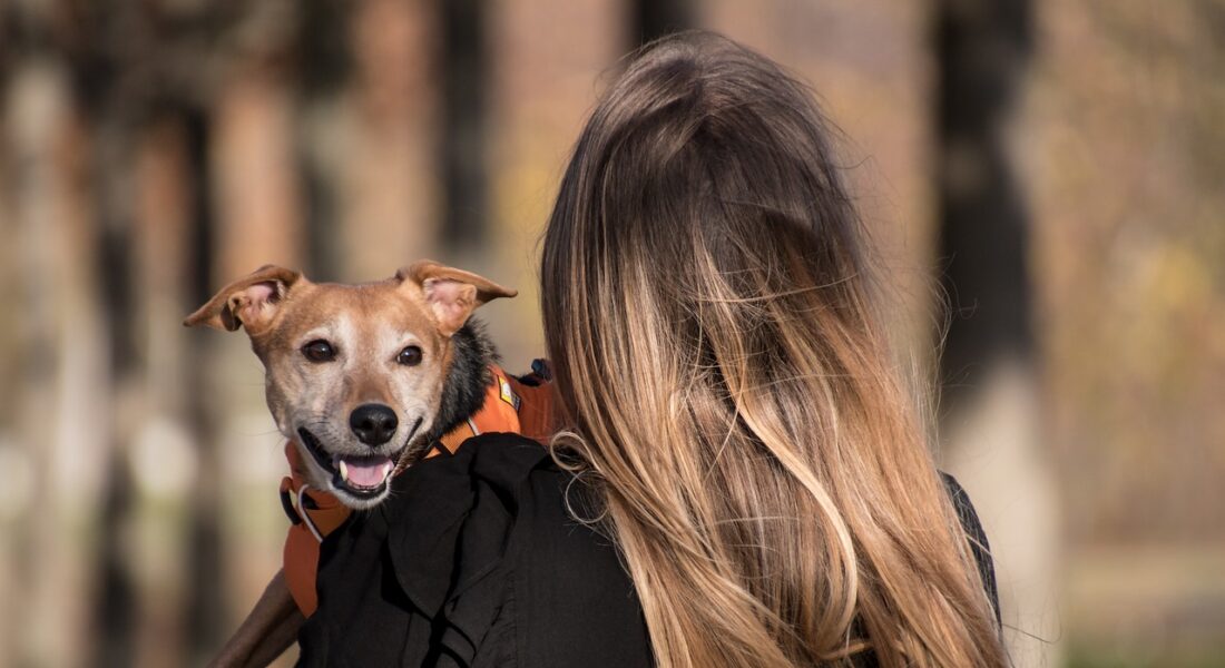 Costretto a risarcire la ex per averle “rubato” il cane